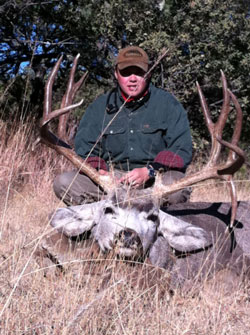 Giant Muleys